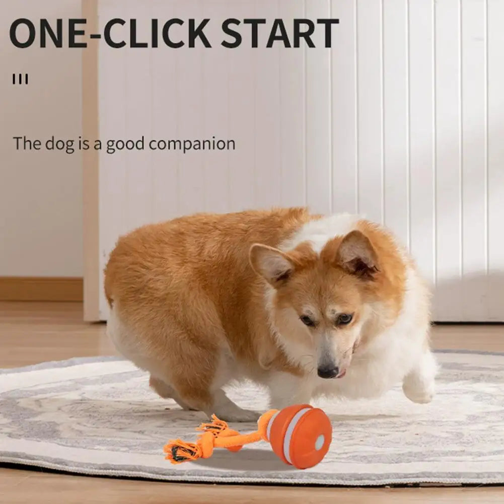 Smart Dog Toy Ball – Motion-Activated & USB Rechargeable