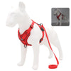 Harness & Leash Set – Reflective Padded Quick-Release