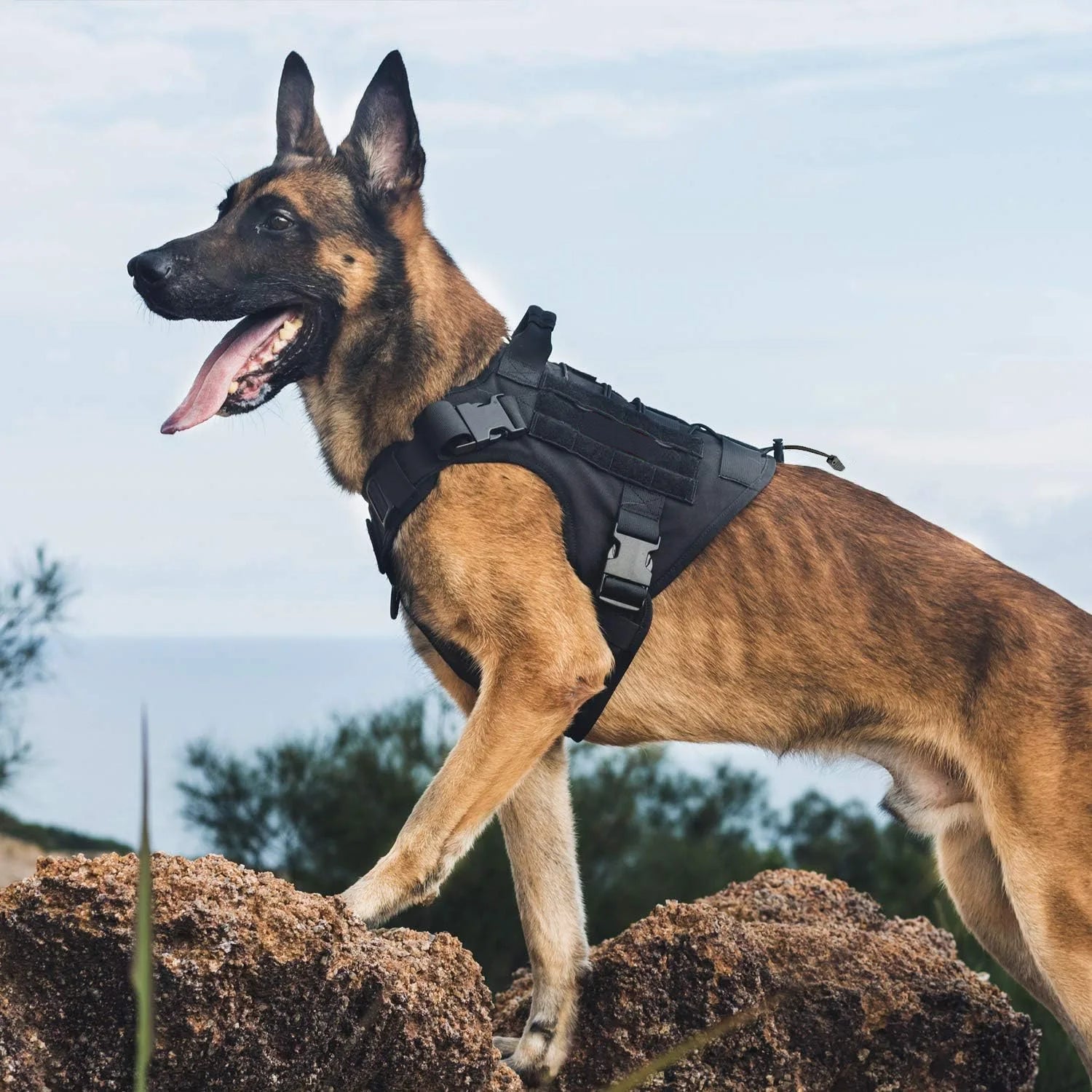 Tactical Dog Harness – Handle & Hook & Loop Panels