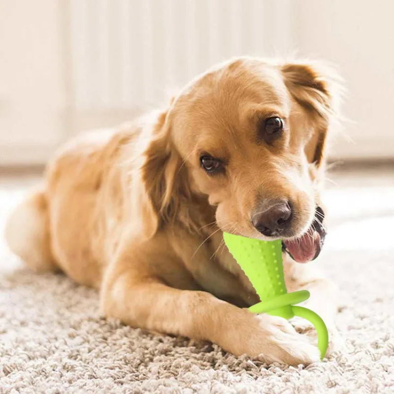 Indestructible Small Dog Chew Toy – Durable Rubber Teeth Cleaning