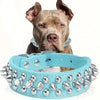 Studded Leather Dog Collar – Spiked & Adjustable