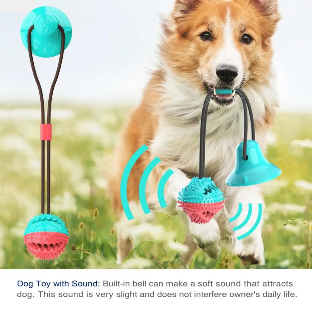 Suction Cup Dog Chew Toy
