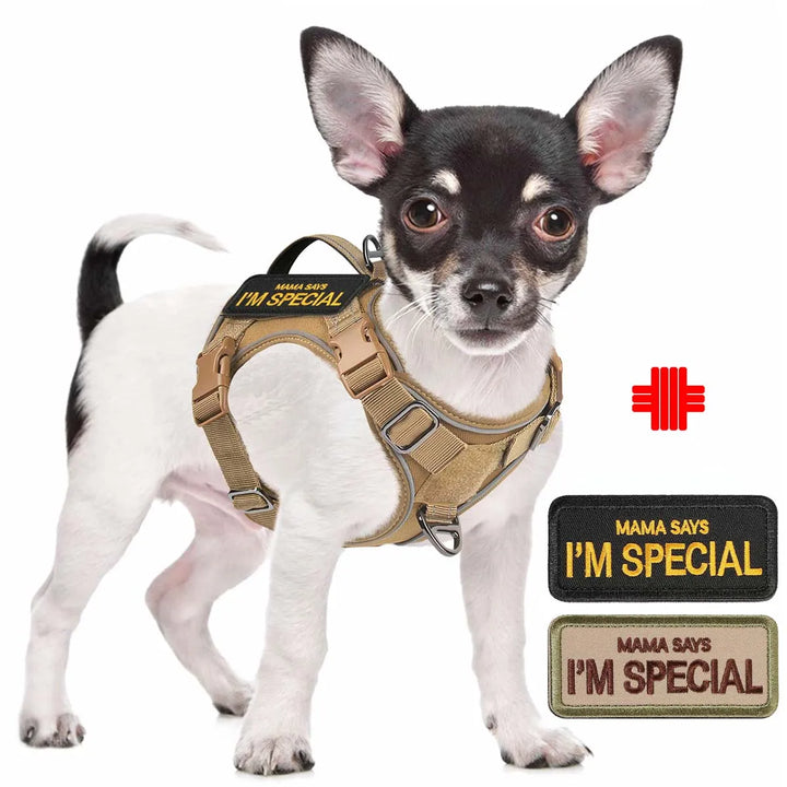 Tactical Dog Harness – Padded Handle & 4-Point Adjustable