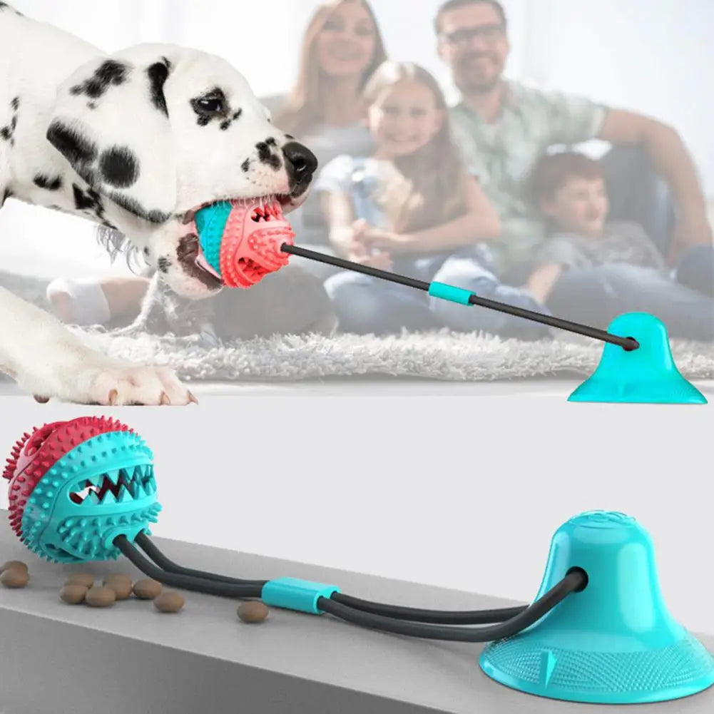 Suction Cup Dog Chew Toy