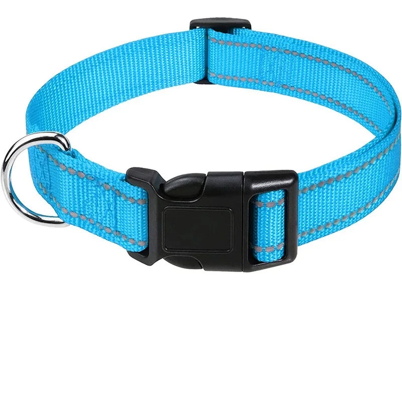 Decorative Nylon Dog Collar – Quick Release & Adjustable