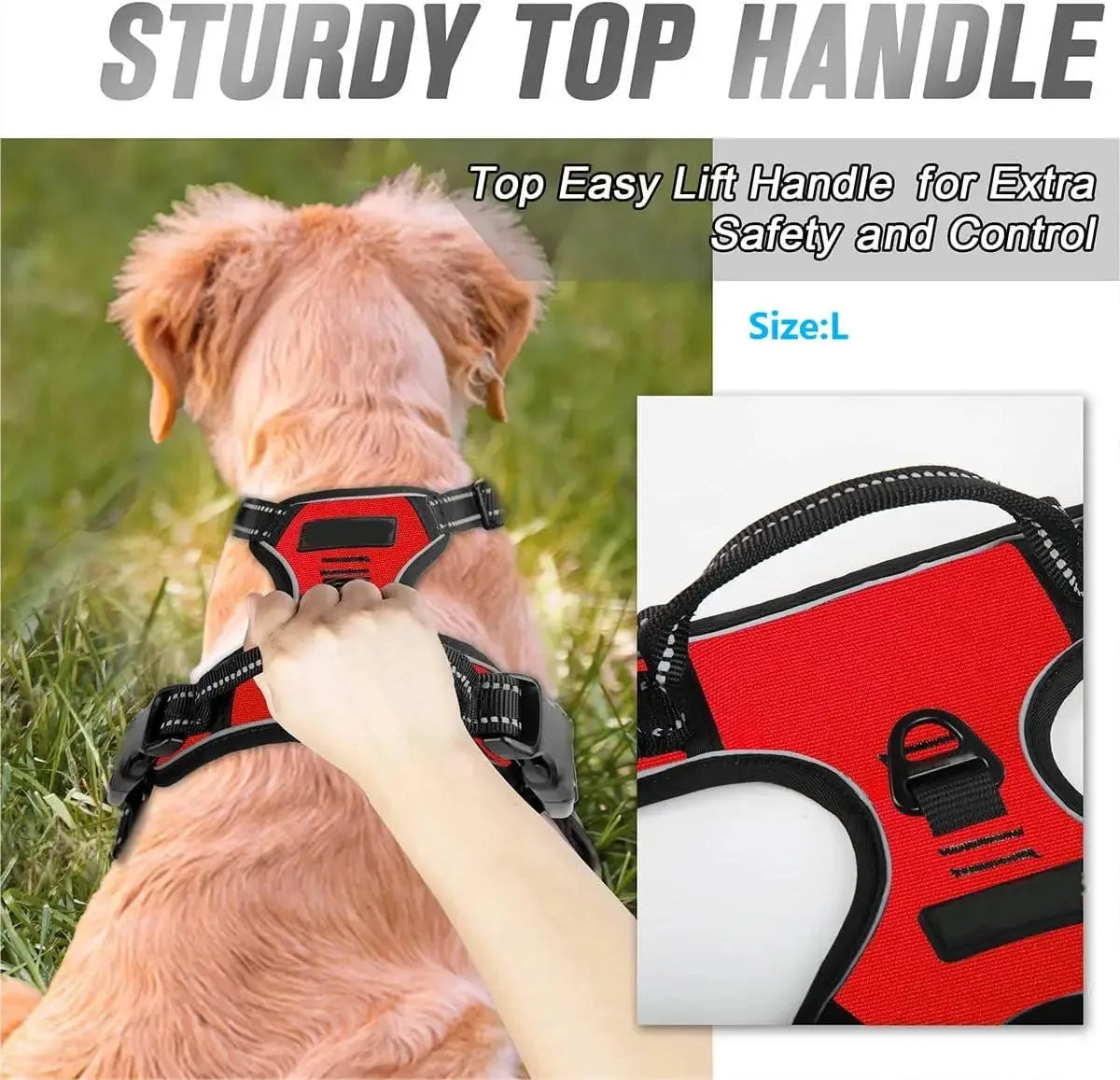 Leather Dog Harness Set – 3-in-1 with Leash