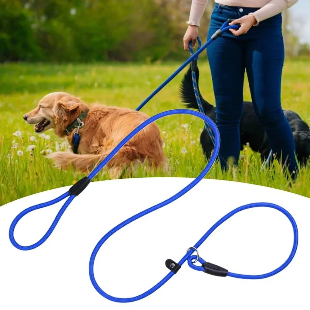 Dog Training P Leash – Heavy-Duty Anti-Pull with Comfort Grip
