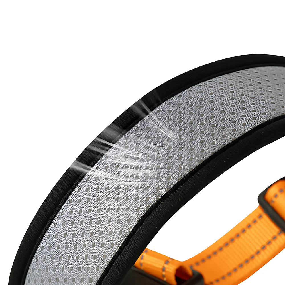 Breathable Mesh Dog Collar – Reflective & Adjustable