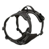 Leather Dog Harness Set – 3-in-1 with Leash
