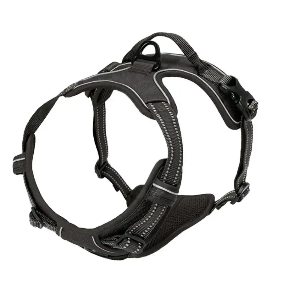 Leather Dog Harness Set – 3-in-1 with Leash